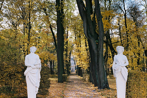 Autumn in the park