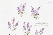 Lilac flowers, Watercolor clipart, an Object Illustration by ollalya (Thumbnail 2 of 5)