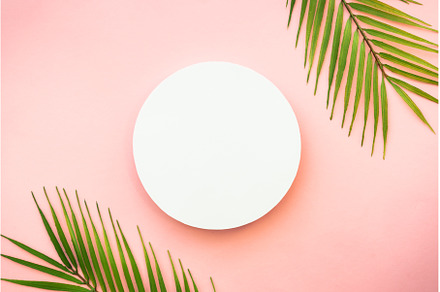 Palm leaves and white podium on pink, a Nature Photo by Nadia-nb