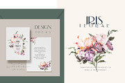 Watercolor Floral Set - Iris Flower, a Decorative Illustration by WalaPalette (Thumbnail 2 of 6)
