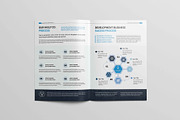 Annual Report Brochure, a Brochure Template by New Lines (Thumbnail 9 of 13)