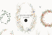WILDFLOWERS tiny watercolor floral, a Decorative Illustration by Lana Elanor (Thumbnail 12 of 15)