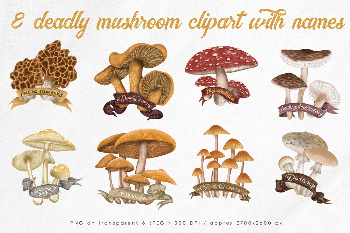 Poisonous mushrooms clipart, an Education Illustration by Yelloo Fish (Photo 3 of 10)