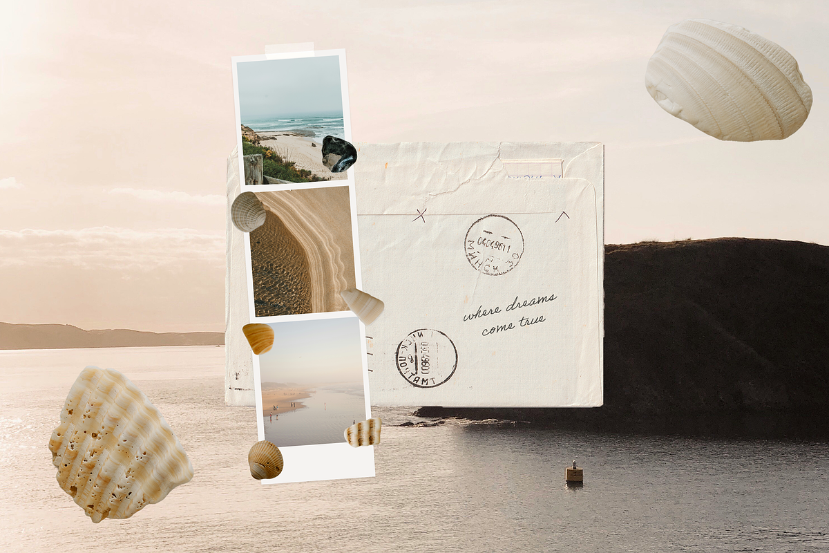 Hand-Collected Coastal Shells, an Object Graphic by MaliaFaithCreative (Photo 3 of 6)