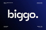 Biggo Modern Sans Font, a Sans Serif Font by Artiveko (Thumbnail 1 of 11)