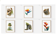 TROPICAL JUNGLE clipart, an Illustration by Designworld (Thumbnail 2 of 5)