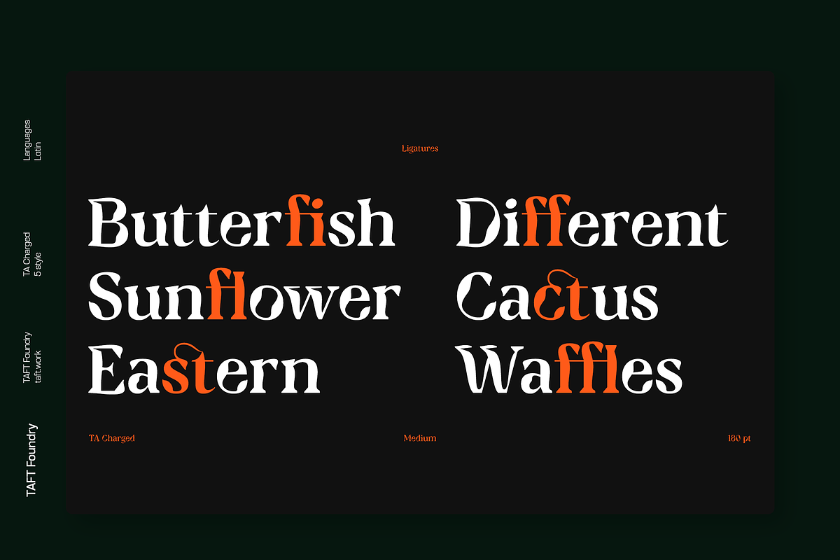 TA Charged, a Serif Font by TAFT Foundry (Photo 5 of 19)
