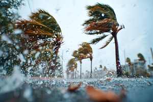 Strong winds and heavy rainfall impacting the landscape during a hurricane, a Photo by AlyaAnd