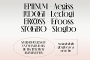 glossy - a modern serif, a Serif Font by INKSUN™ (Thumbnail 6 of 11)