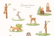 Watercolor Forest Animals Clipart, an Animal Illustration by ElenaPlatovaArt (Thumbnail 7 of 18)