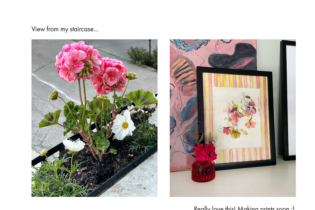20 High Res Geranium PNGs, an Object Graphic by Memow Studio (Photo 7 of 7)