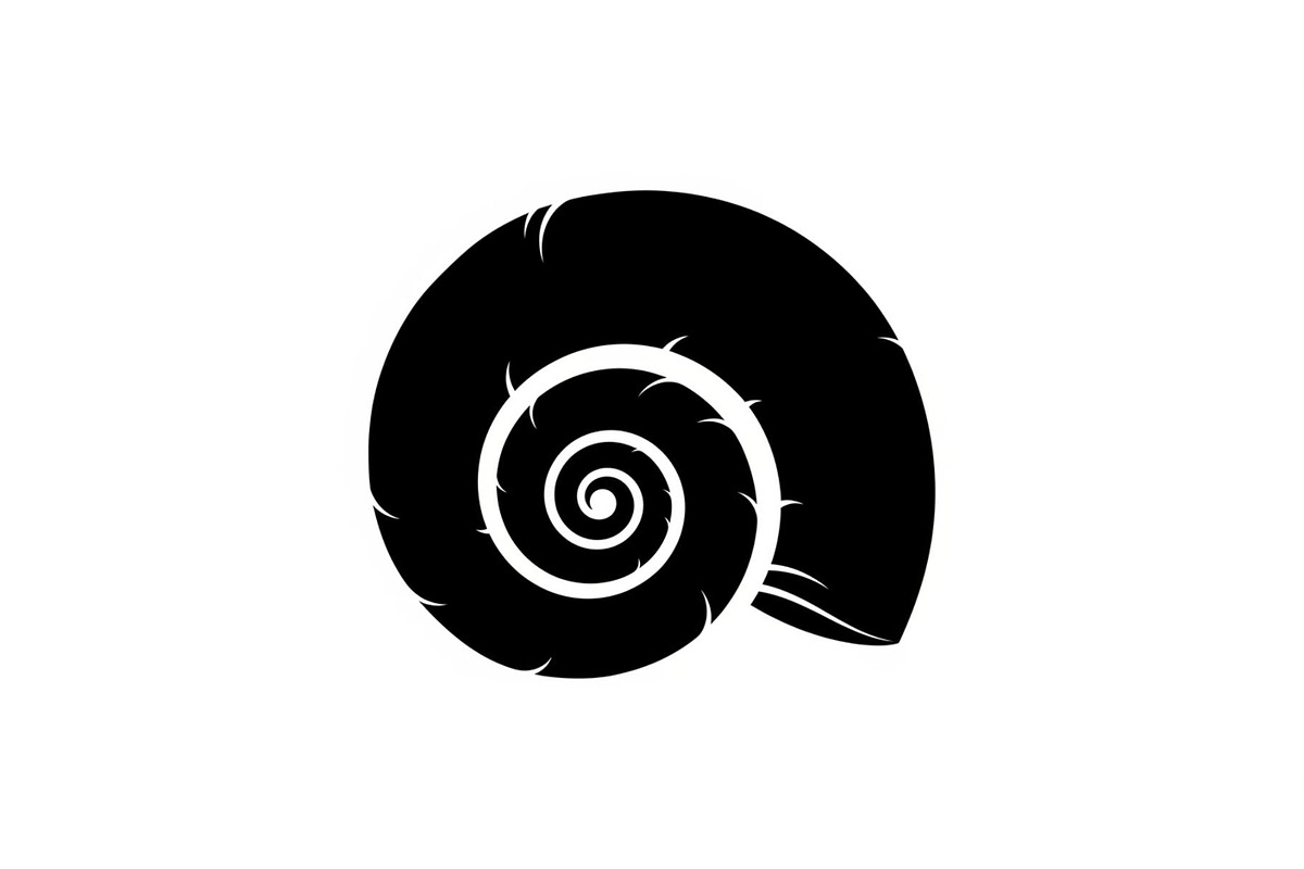 Spiral Seashell SVG Bundle, an Illustration by Gaye Art (Photo 13 of 31)