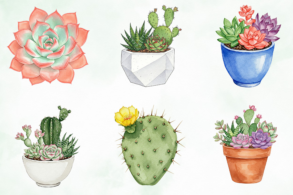 Watercolor Succulent Clipart, an Illustration by Creative Art (Photo 8 of 10)