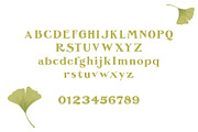 De Ginkgo, a Serif Font by Emyself Design (Thumbnail 11 of 16)
