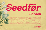 Sunday Chocolate - Retro Serif, a Serif Font by Shakira Studio (Thumbnail 2 of 12)