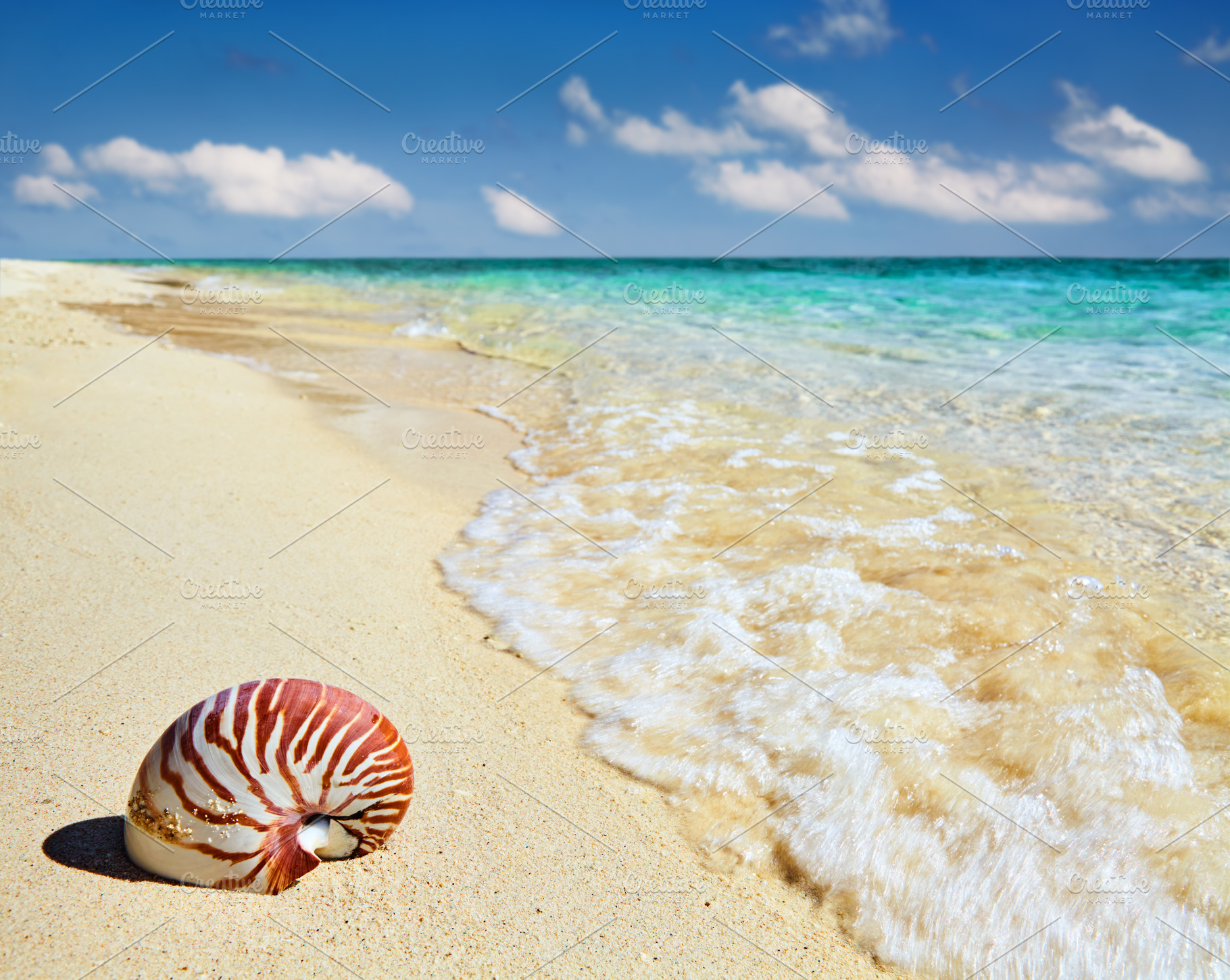 Tropical beach, a Nature Photo by Shop Name
