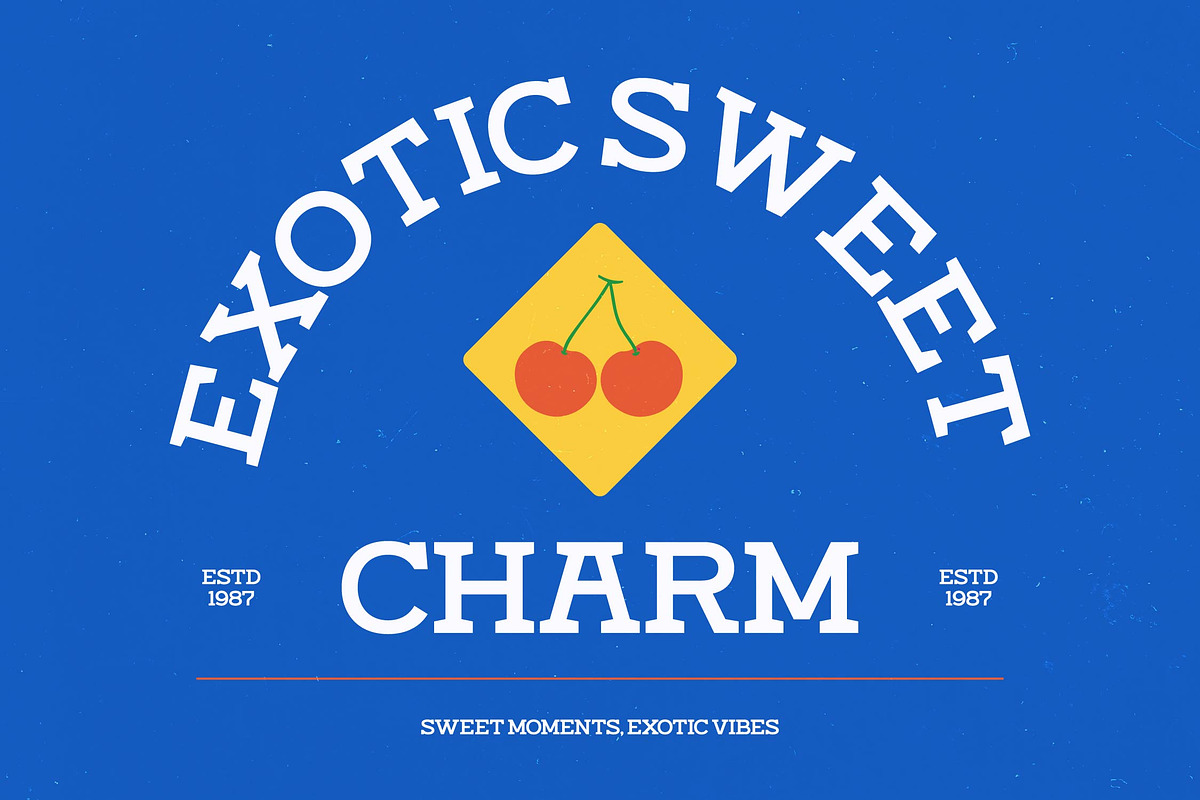 Rotter Damn Slab Serif Display, a Slab Serif Font by timelesstype.co (Photo 2 of 15)
