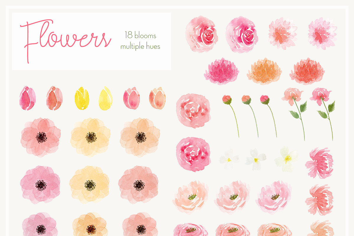 Anne Marie's Watercolour Florals, an Illustration by Doris Jetz (Photo 6 of 15)