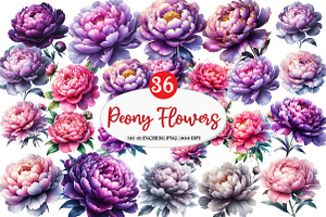 Pink & Purple Peony Flowers Clipart, an Illustration by Watercolor design
