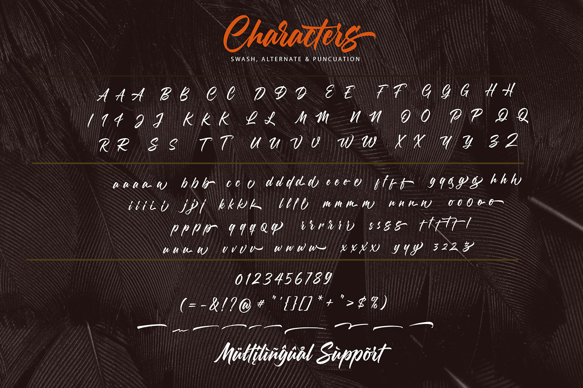 Morning Glory, a Script Font by NUGS (Photo 9 of 10)