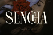 Sencha Elegant Serif Font, a Serif Font by Graphicxell (Thumbnail 1 of 8)