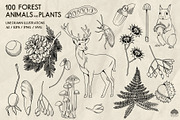 Forest Life Line Art + Procreate, an Object Illustration by Skliarova (Thumbnail 6 of 6)