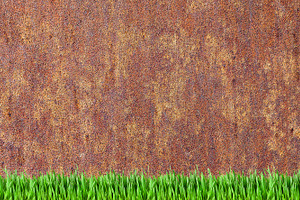 Rusy wall and grass background, an Architecture Photo by BOOCYS