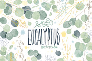 Watercolor Eucalyptus clipart, an Illustration by NKTKNS (Thumbnail 1 of 7)