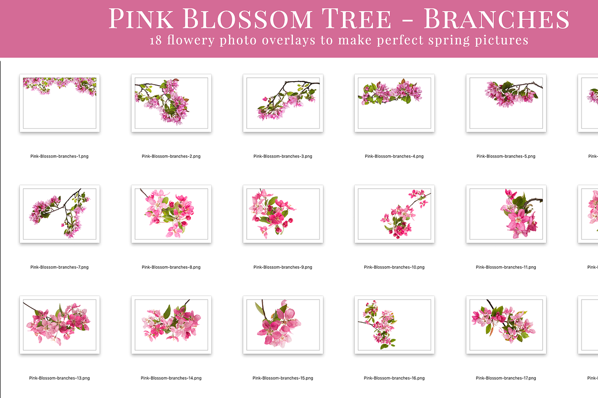 Pink Blossom Tree photo overlays, a Layer Style Add-On by BrownLeopard (Photo 6 of 8)