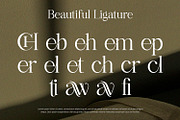 Aethelion - Serif Font, a Serif Font by Alpaprana (Thumbnail 4 of 11)