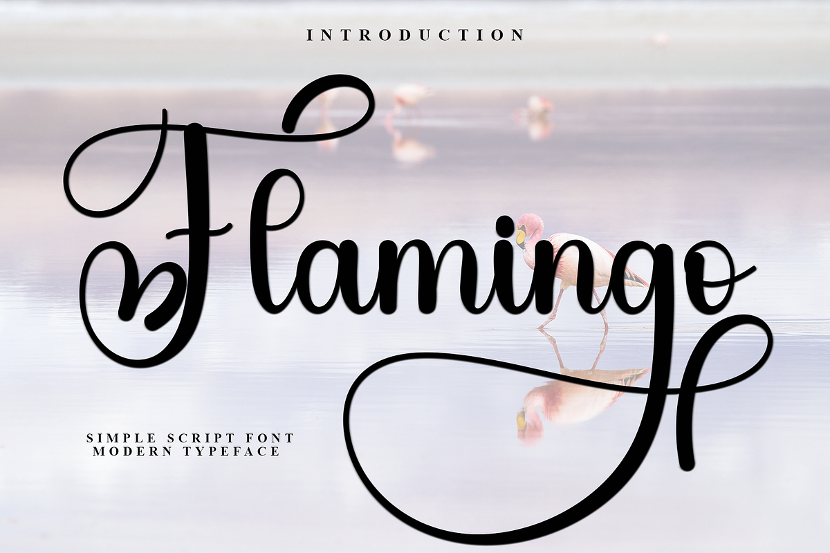 Flamingo, a Handwritten Font by FreshTypeINK (Photo 1 of 8)