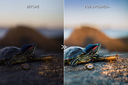 Bright Vibrant FUJIFILM LR Presets, an Action Add-On by CityTurtles (Thumbnail 7 of 10)