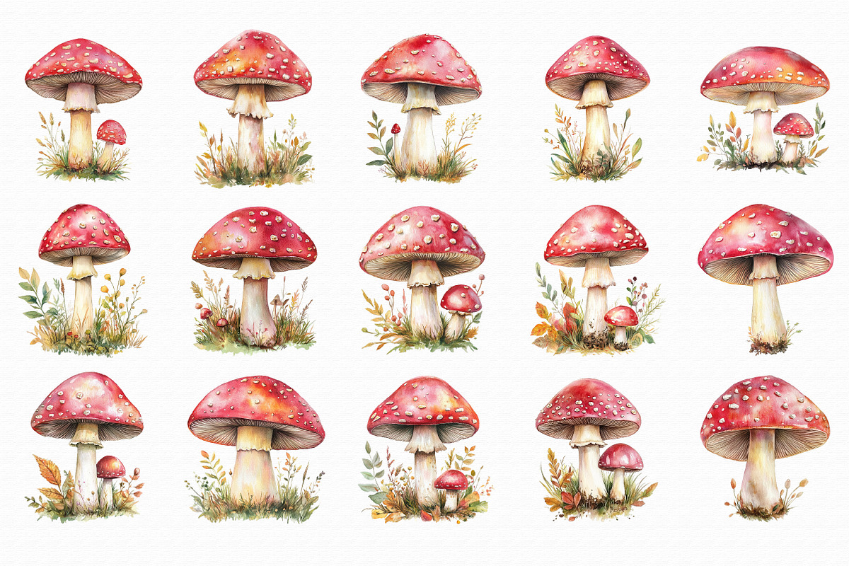 Watercolor Amanita Mushrooms Clipart, an Illustration by Libby Wishes (Photo 2 of 6)