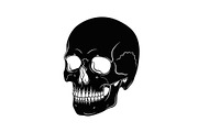 50 Skull Head Silhouette Vector Bund, an Illustration by Creativeshirt (Thumbnail 42 of 51)