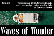 Darvine Rough, a Serif Font by Craft Supply Co. (Thumbnail 2 of 8)