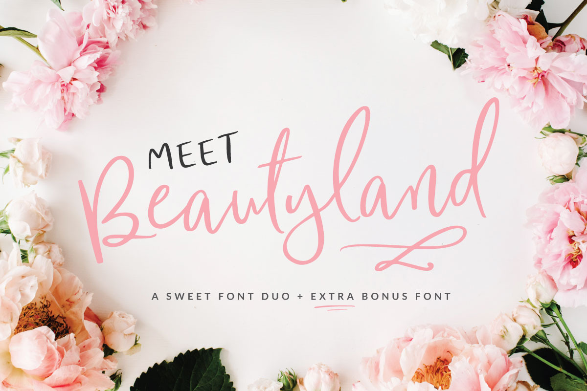 Fonts bundle - 12 fonts preview 5