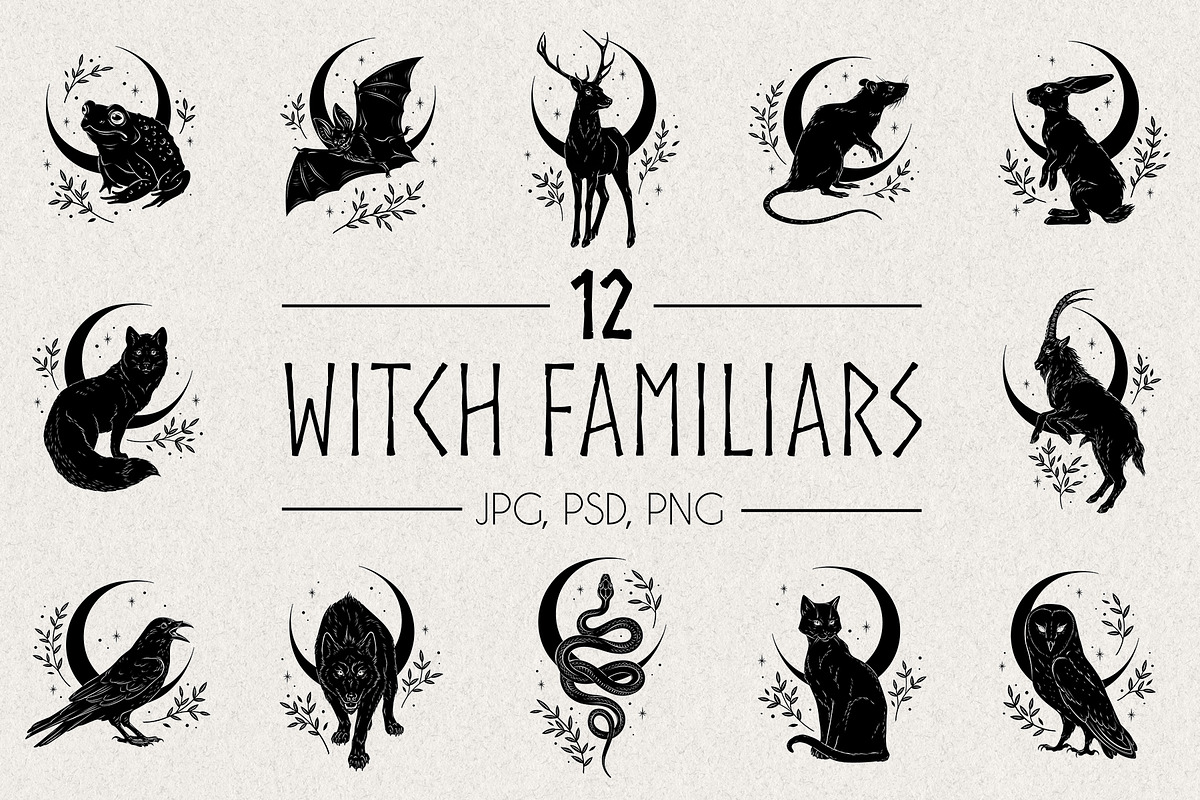 Familiar Spirits - 12 illustrations, an Animal Illustration by Croisy (Photo 1 of 7)