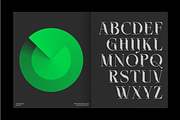 ELGISTA, a Serif Font by Bagerich Type Foundry (Thumbnail 3 of 13)