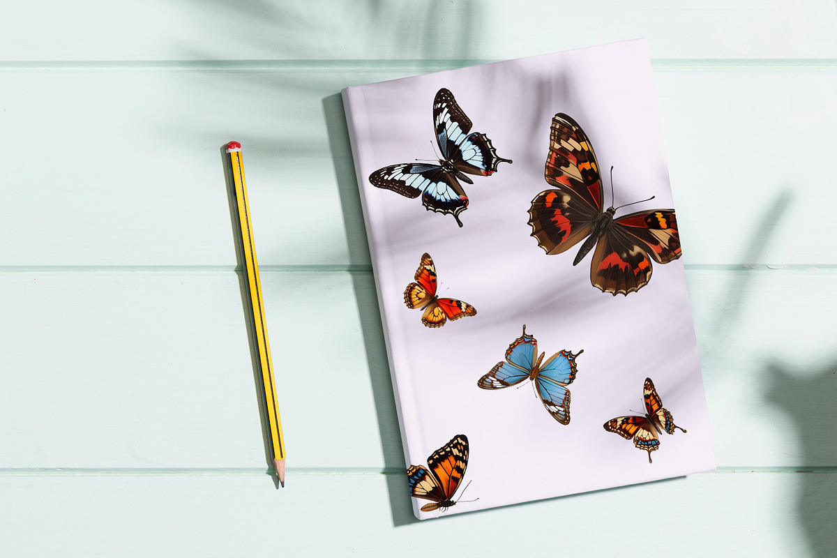 Clipart colorful butterfly, an Animal Illustration by ArtOfSoul (Photo 6 of 6)