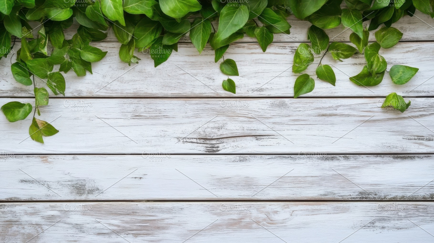 Green leaves on whitewashed wood bac, a Photo by Pixeness Studio