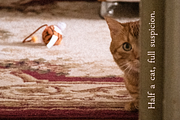 Jessie Buckley Font, a Serif Font by gafaroff studio (Thumbnail 4 of 5)