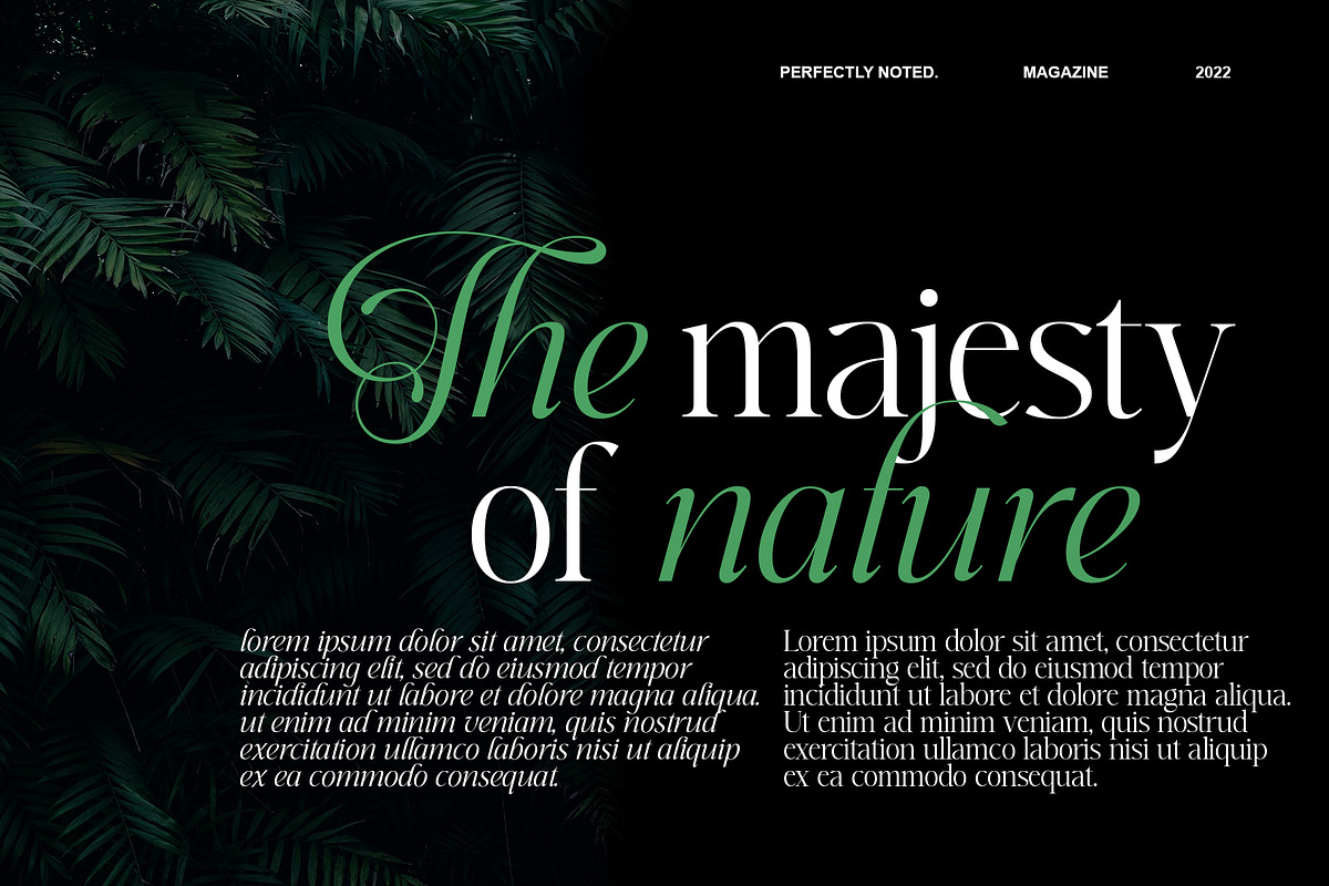Perfectly Noted, a Serif Font by INKSUN™ (Photo 6 of 7)