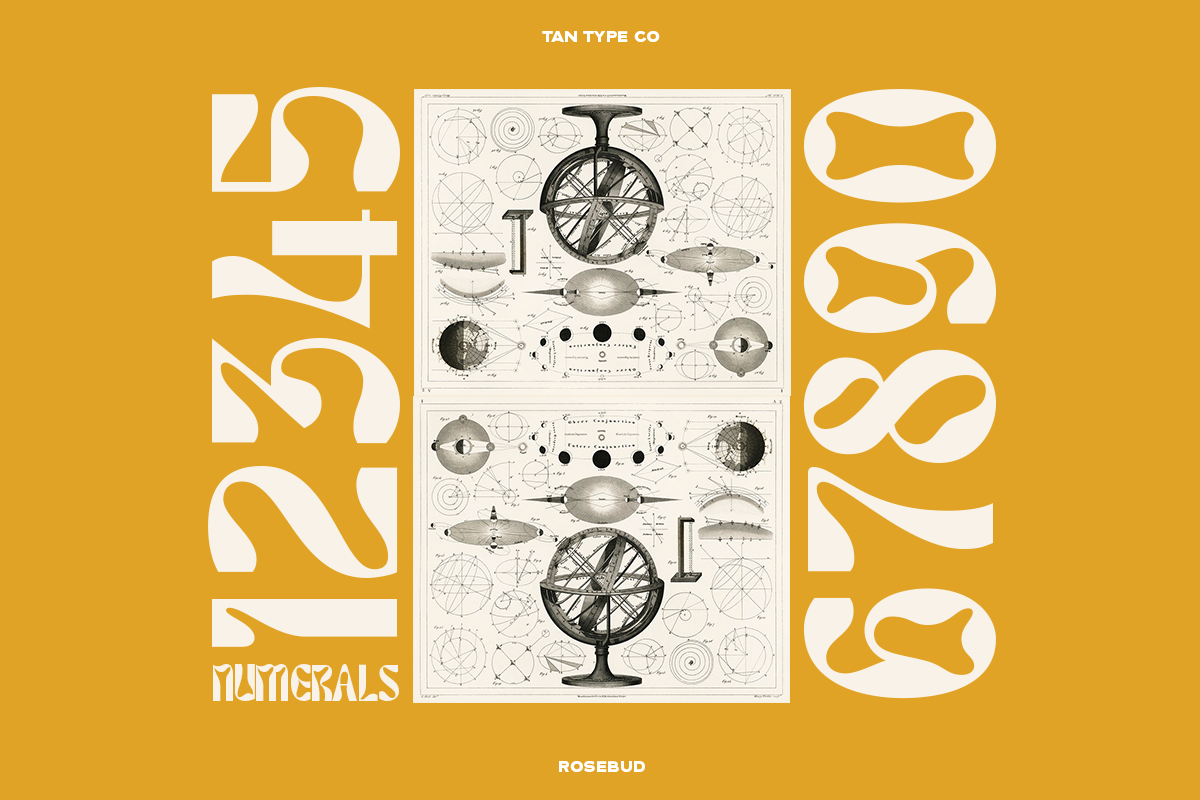 TAN - ROSEBUD, a Font by TanType (Photo 6 of 15)