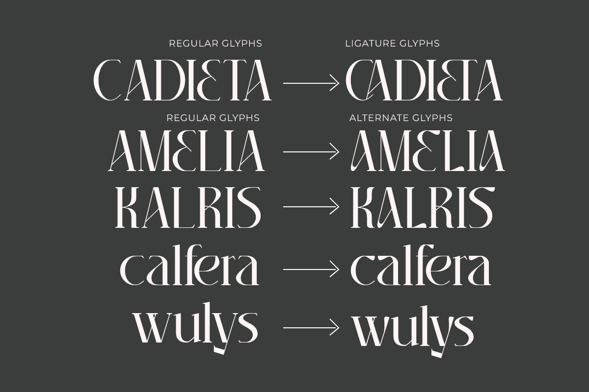 Chadenia, a Serif Font by Muksal Creative (Photo 6 of 9)
