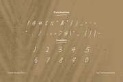 Wening Fresh Script Font, a Script Font by Catalystco Studio (Thumbnail 3 of 10)