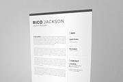 Resume CV, a Resume Template by Design'sTRIBE (Thumbnail 8 of 9)