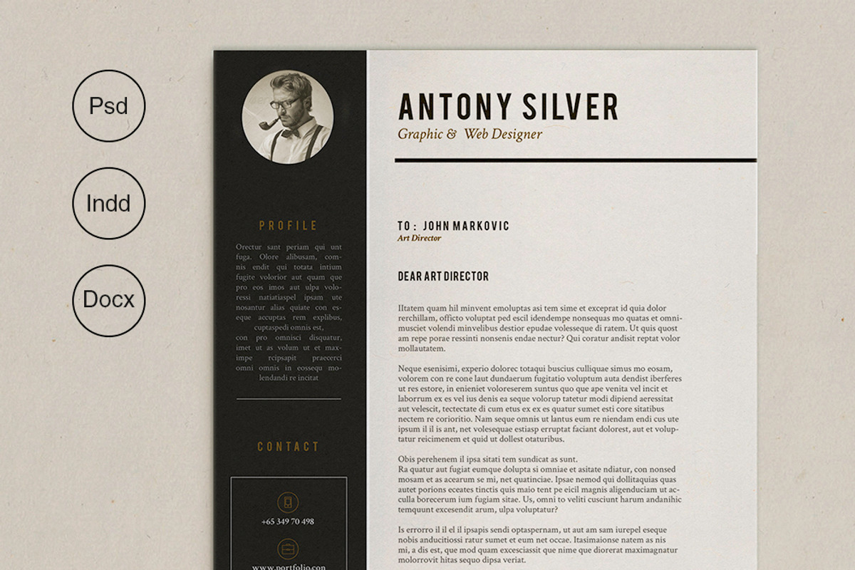 Pro Resume, a Resume Template by sz81 (Photo 4 of 4)