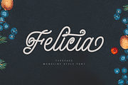 Felicia, a Script Font by jorse (Thumbnail 1 of 7)
