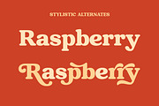 Raspberie - Retro Modern Font, a Serif Font by Variatype (Thumbnail 9 of 15)