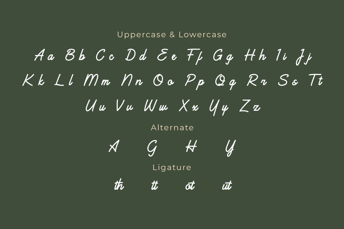 Bashats - Script Monoline Font, a Handwritten Font by twinstd (Photo 4 of 7)